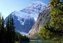 天涯社区，你认识吗？这是咱们这些老网民心中的一方理塘啊！说起和它类似的社区，老铁们可多了！现在好些网站都有这种天涯味儿～